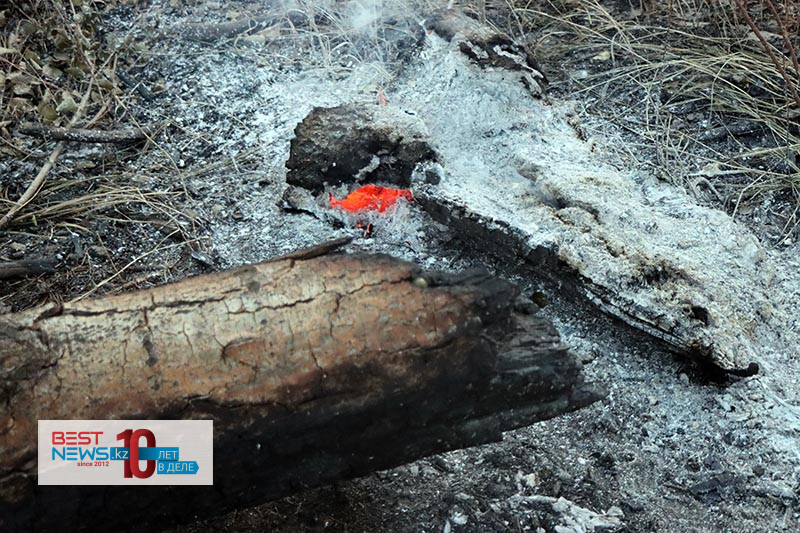 64869f3b77e88_ab1_p81078