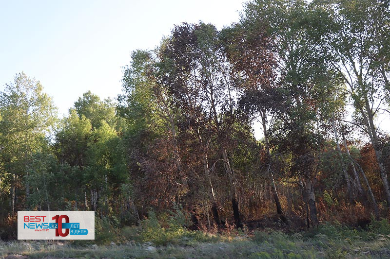 64869fab560ee_ab15_p26082