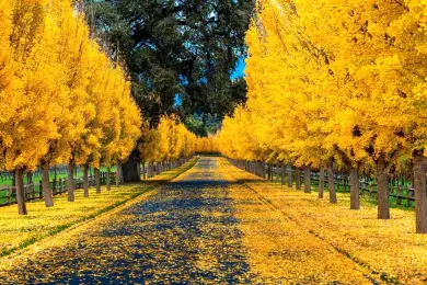 Погода по Казахстану на 3 октября 