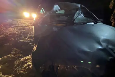 В СКО лошадь с жеребёнком попали под колеса авто, водитель и пассажир госпитализированы – фото 