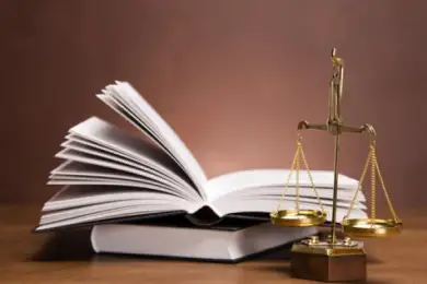 Минюст назвал сроки подготовки поправок в УК и УПК Казахстана 