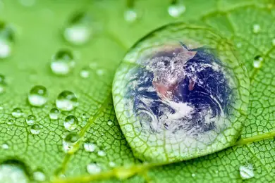 В казахстанских школах появится новый предмет 