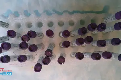 За сутки в Казахстане выявили 50 случаев коронавируса  