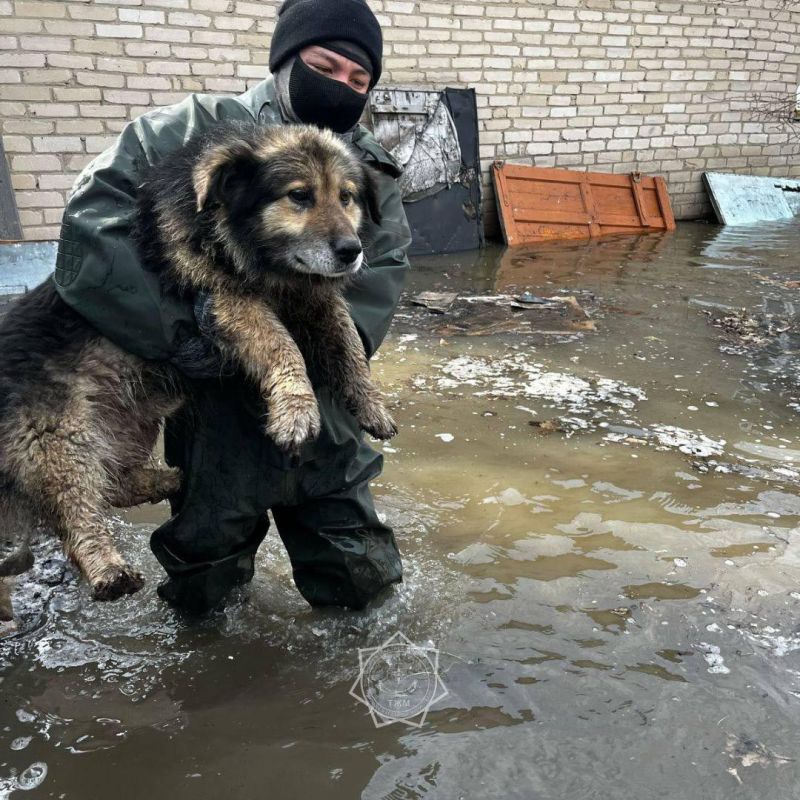 Паводки в Казахстане: эвакуировано 107 тыс человек, подтоплено 4,8 тыс дома