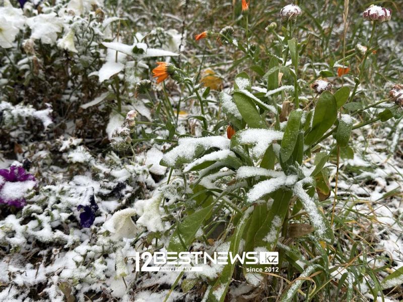 Первый снег преобразил Астану