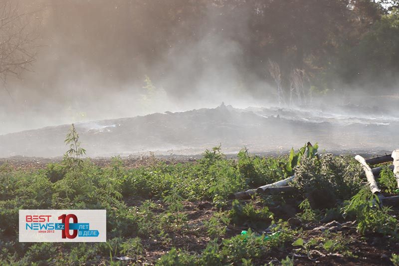 Как горели леса в области Абай