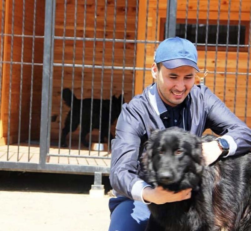 «Я своих собак никому не отдам» - мажилисмен Ходжаназаров рассказал о любимых животных