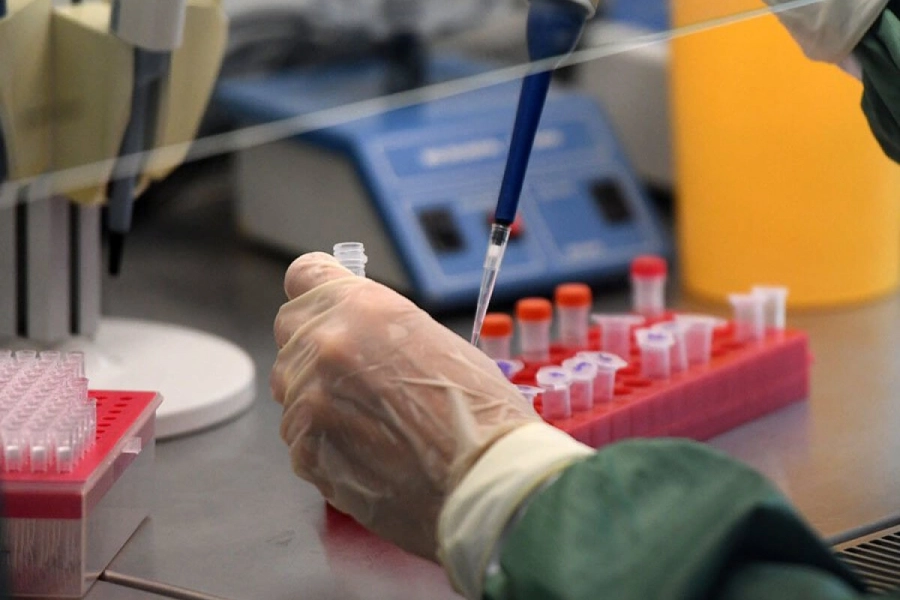 Алматы - 545, Нур-Султан - 204: сколько случаев ковид выявили в РК за сутки  