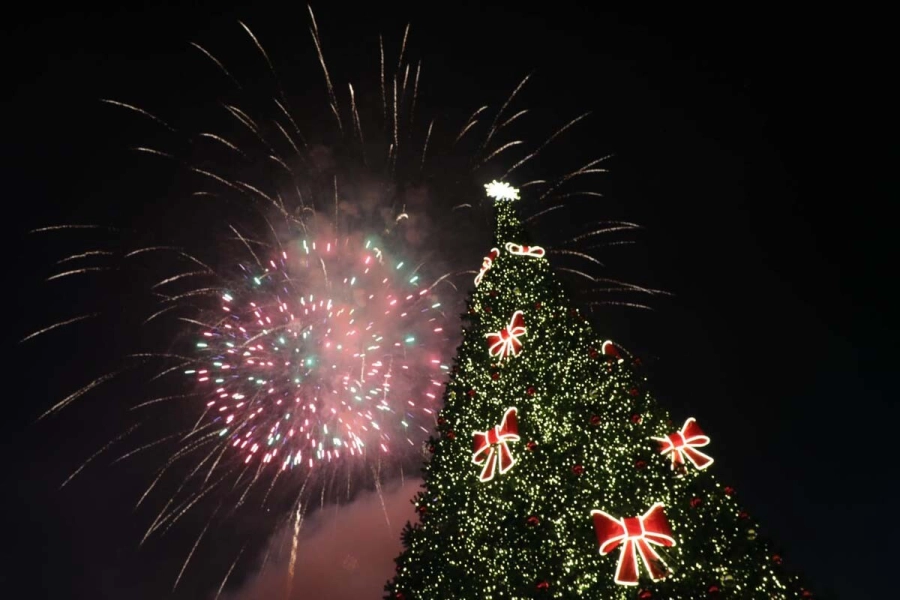 В Алматы с размахом встретили Новый год  