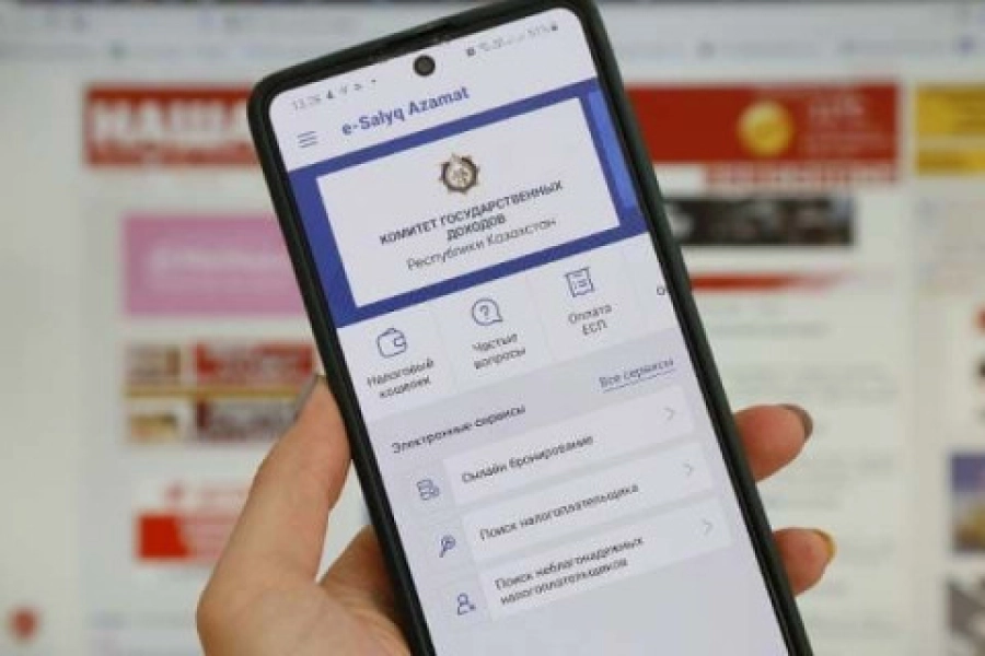«Не такое уж удобное»: в Мажилисе критиковали мобильное приложение для налогоплательщиков 
