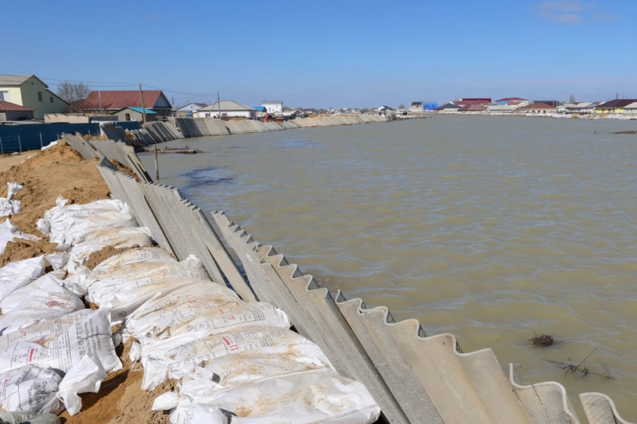 Акимы доложились Президенту 