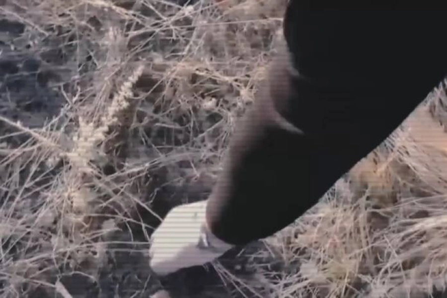 Полиция выявила свыше 500 закладок наркотиков в Атырау, Уральске и Аксае 